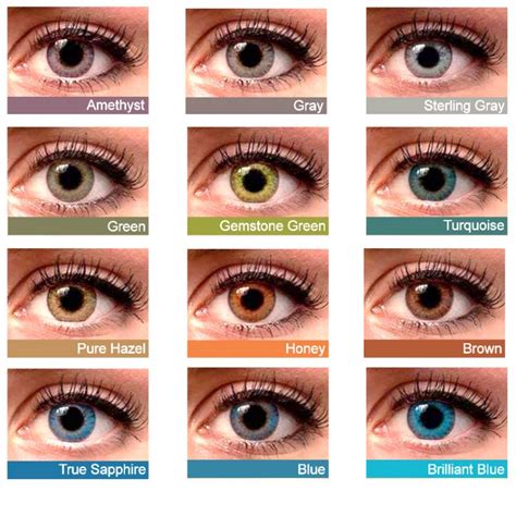 best multifocal colored contact lenses