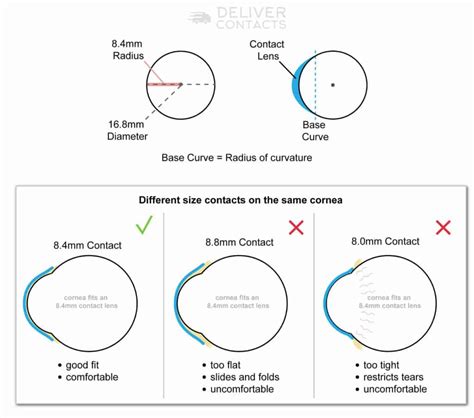 contact lenses with 8.6 base curve